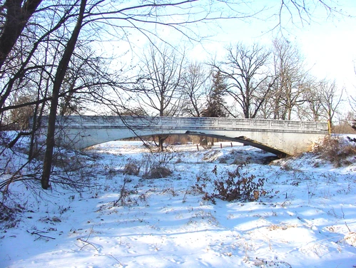 Photo of the Twin Bridge in Fayette County, Iowa.